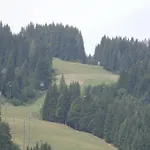Gotthardt Flachau