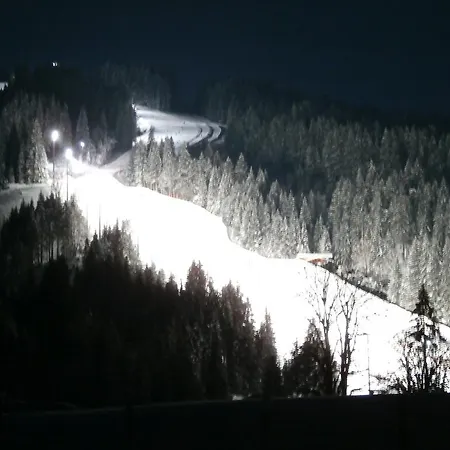 Apartamento Gotthardt Flachau