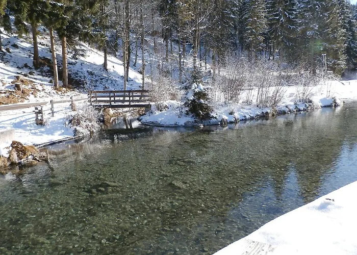 Gotthardt Apartment Flachau