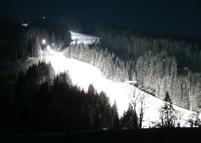 Lägenhet Gotthardt Flachau